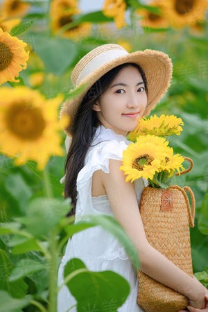 高冷小姐你别跑